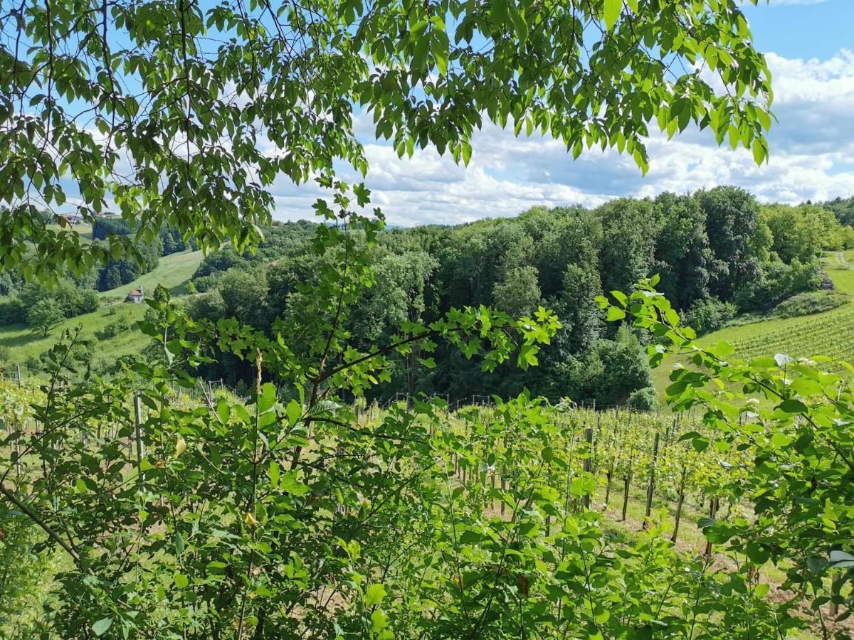 Вілла Weingut Assigal Лайбніц Екстер'єр фото