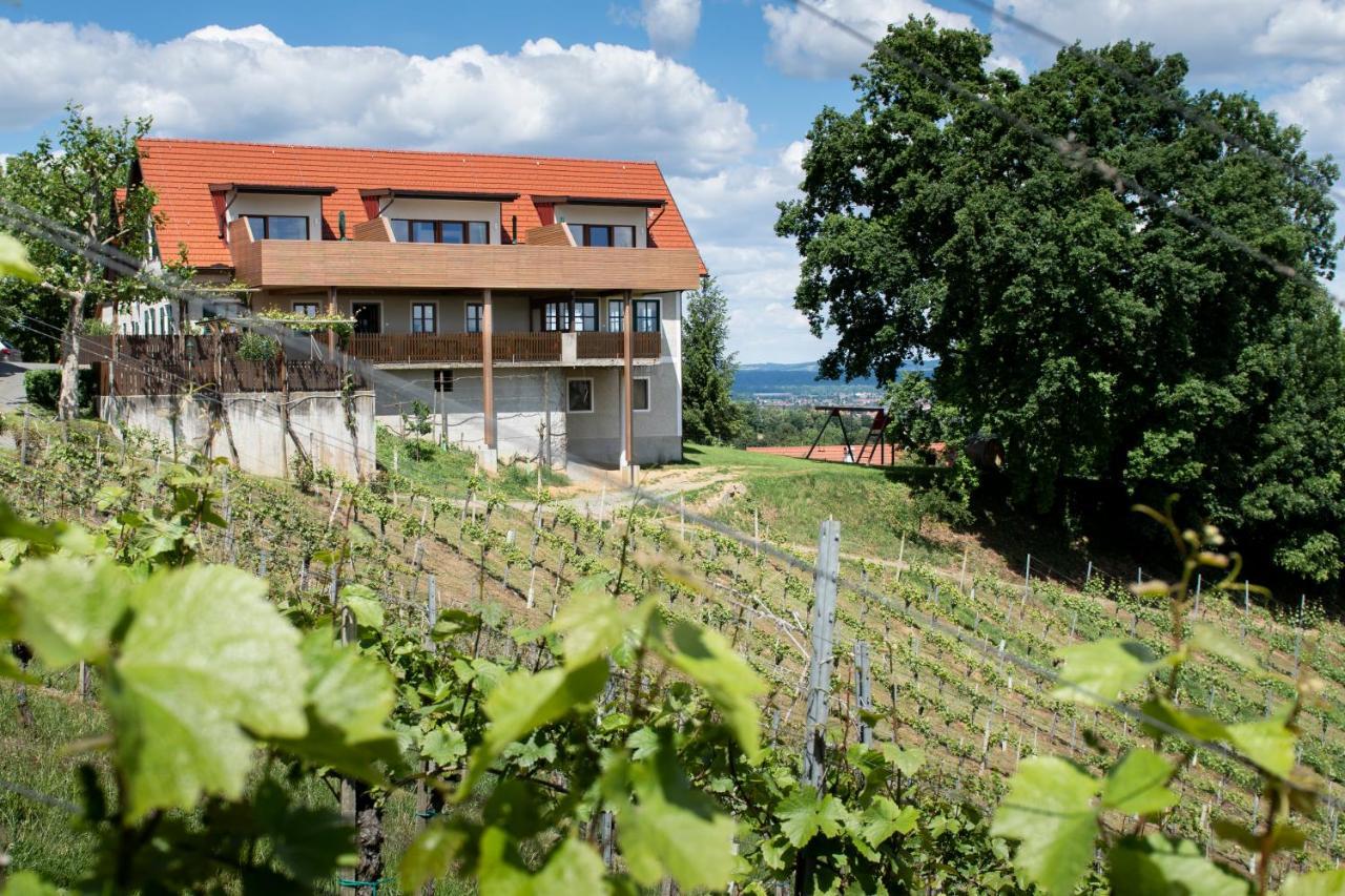 Вілла Weingut Assigal Лайбніц Екстер'єр фото